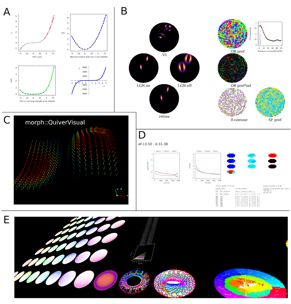 A selection of visualisations made with morphologica