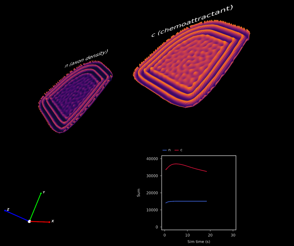 A plot of a reaction-diffusion simulation containing 2 state variables, n and c.